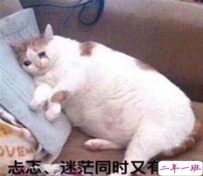 2021智障沙雕发说说带图片 看一次笑一次的说说9