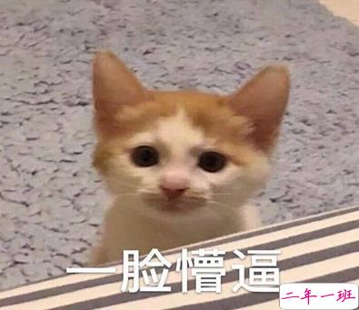 2021智障沙雕发说说带图片 看一次笑一次的说说12