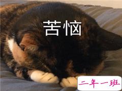 2021智障沙雕发说说带图片 看一次笑一次的说说