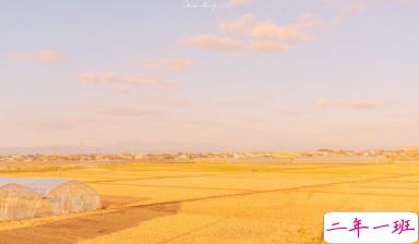 一波文艺的情话带图片 在青山绿水之间想牵着你的手1