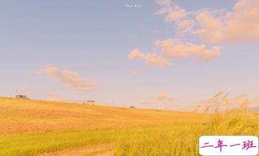 一波文艺的情话带图片 在青山绿水之间想牵着你的手3