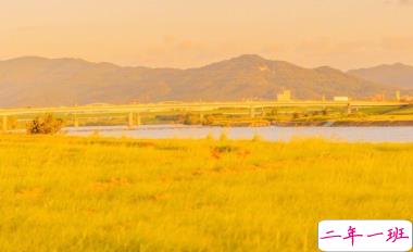 一波文艺的情话带图片 在青山绿水之间想牵着你的手7