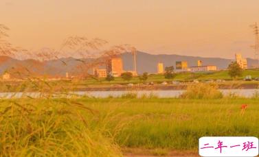 一波文艺的情话带图片 在青山绿水之间想牵着你的手9