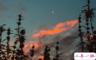 一波文艺的情话带图片 在青山绿水之间想牵着你的手11