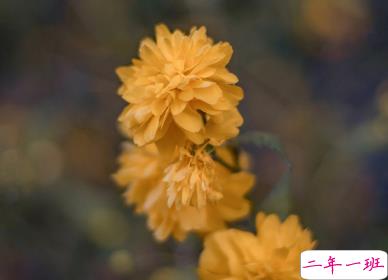 适合国庆结婚发的朋友圈 让浪漫挂起快乐的风帆8