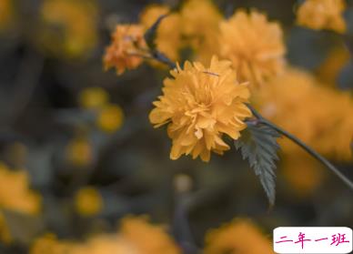 适合国庆结婚发的朋友圈 让浪漫挂起快乐的风帆11