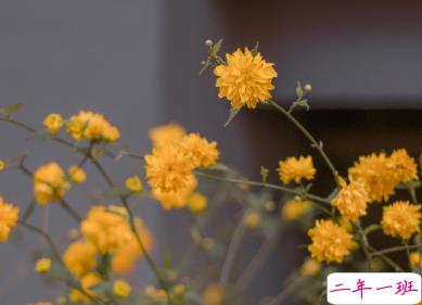 适合国庆结婚发的朋友圈 让浪漫挂起快乐的风帆13