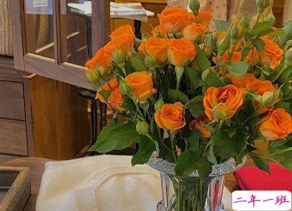 15句惊艳朋友圈的唯美短句 山中若有眠枕的是月1