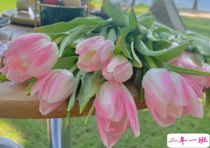 15句惊艳朋友圈的唯美短句 山中若有眠枕的是月3