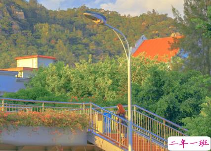 15句惊艳朋友圈的唯美短句 山中若有眠枕的是月6