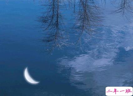 15句惊艳朋友圈的唯美短句 山中若有眠枕的是月14