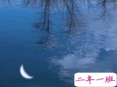 15句惊艳朋友圈的唯美短句 山中若有眠枕的是月