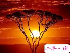 用来表达爱情的诗句 诗意且唯美的句子