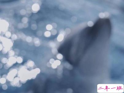 qq空间爱情说说带图片 唯美文艺的爱情句子4