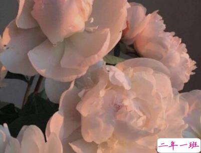 qq空间爱情说说带图片 唯美文艺的爱情句子6