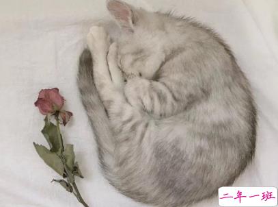 qq空间爱情说说带图片 唯美文艺的爱情句子8