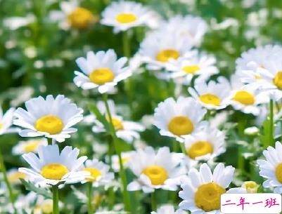 夏天心情说说个性句子 文艺风夏日文案带图片3