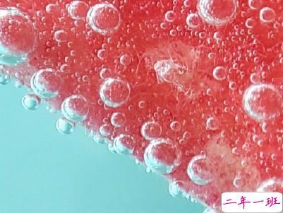 夏天心情说说个性句子 文艺风夏日文案带图片13