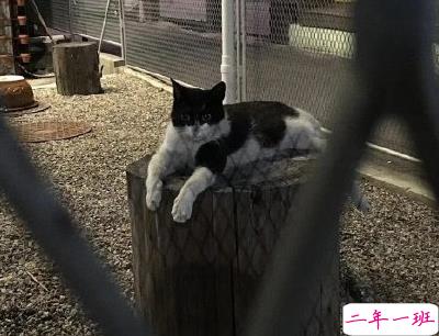 生活中三观很歪的话带图片 我开个玩笑你怎么当真了8