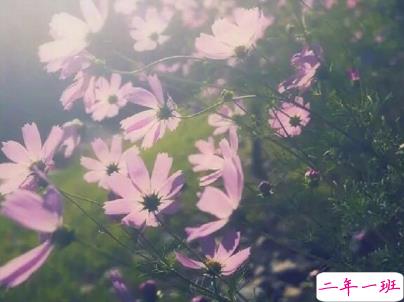 对爱情无助绝望的说说带图片 没人心疼你的难过委屈吧13