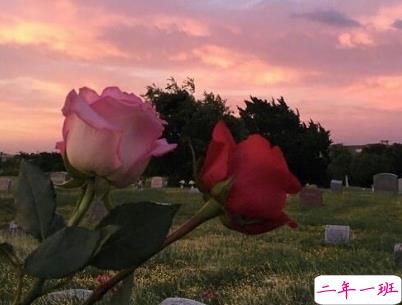 听起来很纯粹的爱情说说 干净惬意的爱情说说配图 6