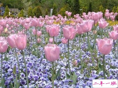 听起来很纯粹的爱情说说 干净惬意的爱情说说配图 10