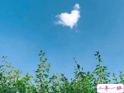 听起来很纯粹的爱情说说 干净惬意的爱情说说配图 11