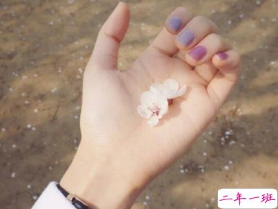 今年流行的经典爱情语录带图片 唯美动听的爱情感悟1