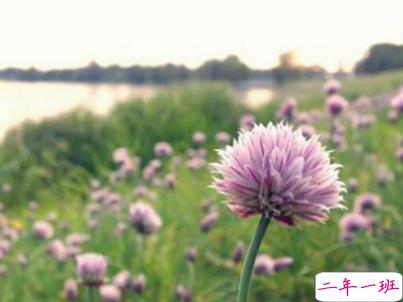 今年流行的经典爱情语录带图片 唯美动听的爱情感悟5