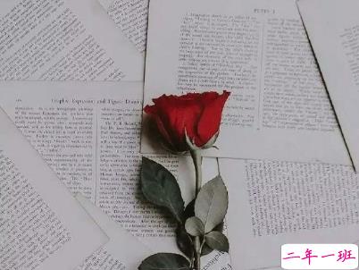 今年流行的经典爱情语录带图片 唯美动听的爱情感悟6