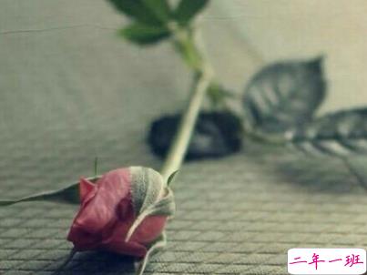 今年流行的经典爱情语录带图片 唯美动听的爱情感悟8