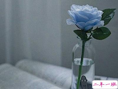 今年流行的经典爱情语录带图片 唯美动听的爱情感悟12