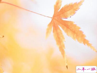 抖音上的宝藏句子带图片 温柔很仙的宝藏句子2