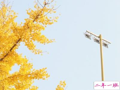 抖音上的宝藏句子带图片 温柔很仙的宝藏句子4