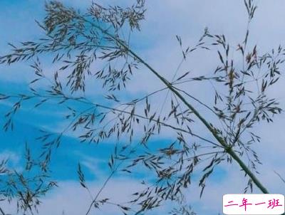 抖音上的宝藏句子带图片 温柔很仙的宝藏句子6