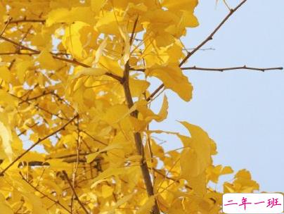 抖音上的宝藏句子带图片 温柔很仙的宝藏句子11