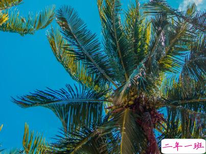 抖音上的宝藏句子带图片 温柔很仙的宝藏句子13