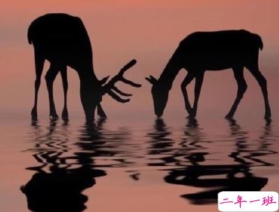 抖音上的宝藏句子带图片 温柔很仙的宝藏句子14