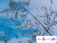 抖音上的宝藏句子带图片 温柔很仙的宝藏句子