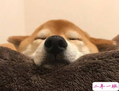 小可爱专属微信说说带图片 一些有趣可爱的句子3