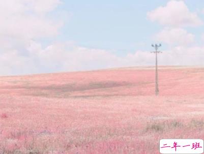 小可爱专属微信说说带图片 一些有趣可爱的句子10