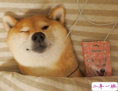 小可爱专属微信说说带图片 一些有趣可爱的句子11