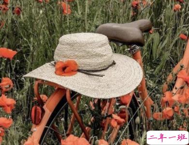 微信个性说说简单一句话配图 十分精辟的短句带图片1