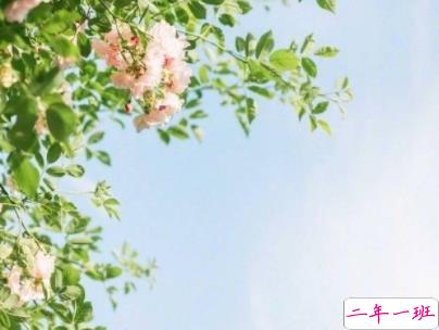 很潮很走心的经典语录 看一眼就会爱上的潮句子带图片6