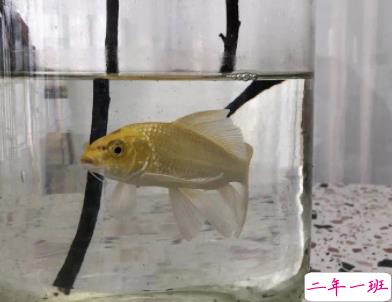 微信个性说说简单一句话配图 十分精辟的短句带图片10