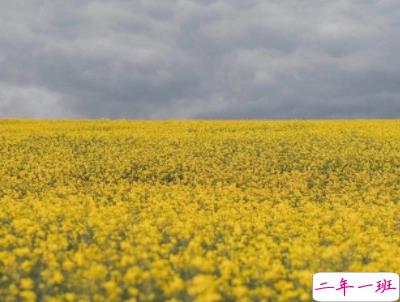 很潮很走心的经典语录 看一眼就会爱上的潮句子带图片13