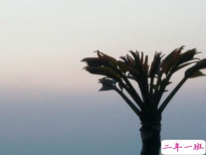 秀恩爱的优雅句子简单好听配图 我的心为你跳动15