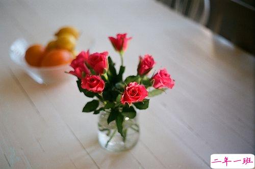 微信朋友圈爱情说说带图片 阳光洒在身上像极了爱情1