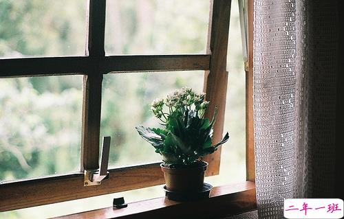 2019元宵节情话说说温暖打动人 比较适合表白的句子带图片6