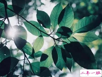 适合夏天发的小句子配图 夏天出去旅游的心情说说6